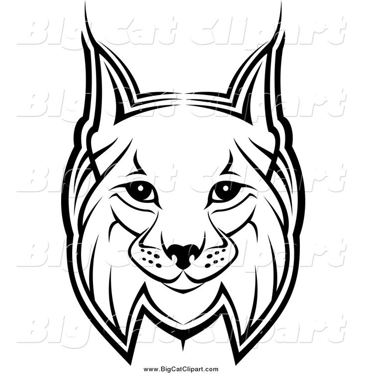 736x750 67 Best Fusian Grandview Images On Chopsticks, Running