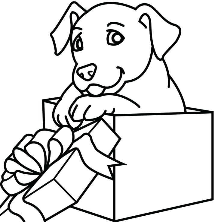715x736 Animal Christmas Coloring Pages Drawn Ornaments Coloring Book Dog