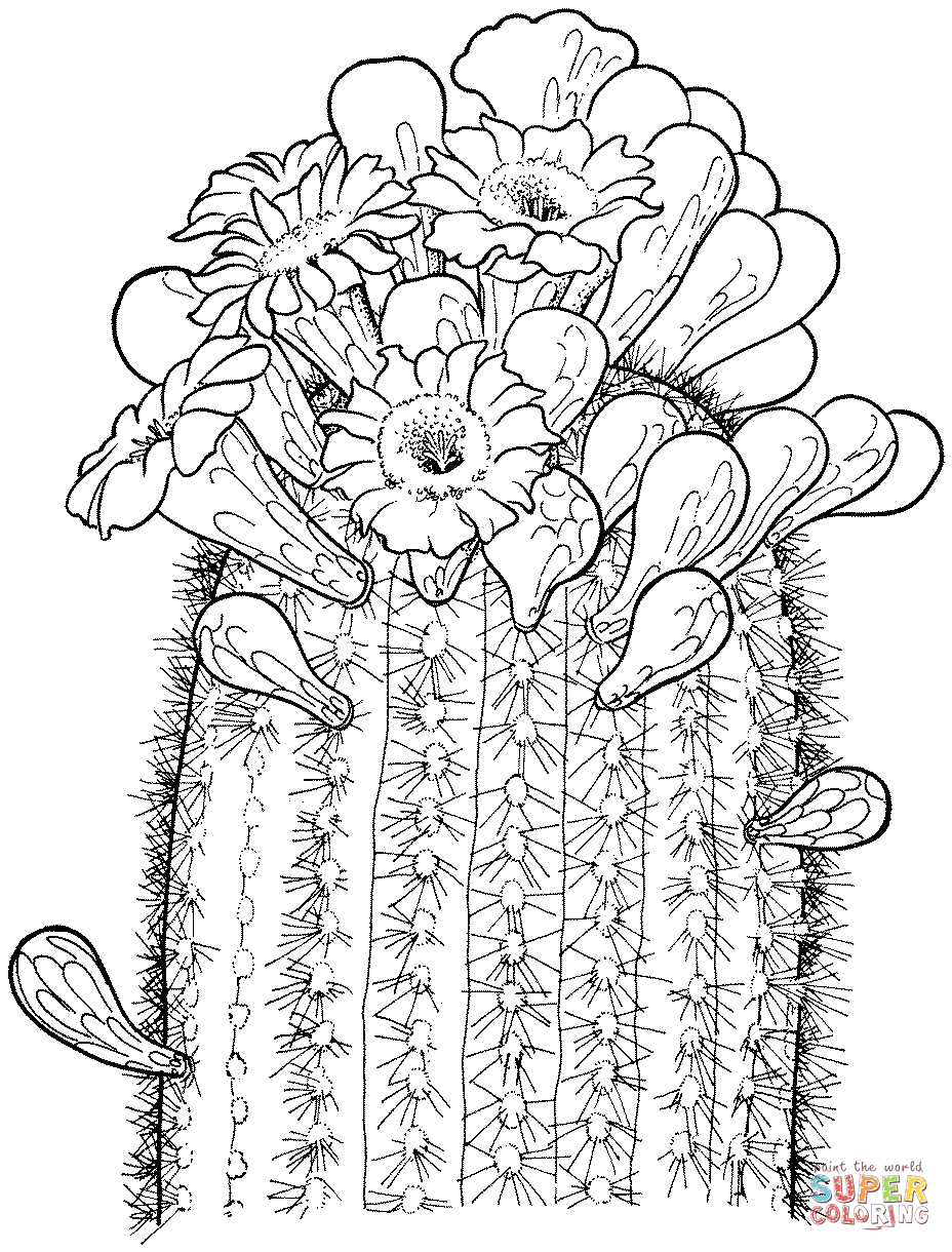 928x1220 Cactus Coloring Pages Free Coloring Pages