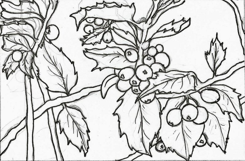 800x525 Christmas Card Design Plan By Dawnsio Pili Pala