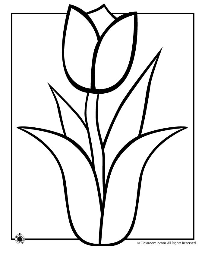 680x880 Drawn Tulip Spring Flower