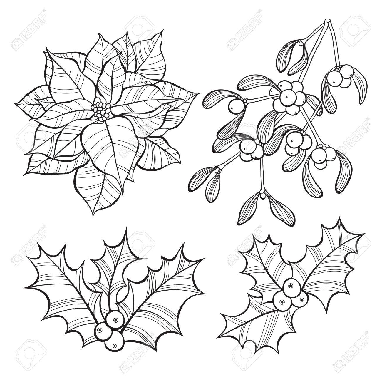 1300x1300 Set Of Christmas Flowers Isolated On White Background. Hand Drawn