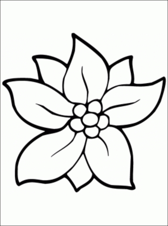 560x750 Christmas Flowers Coloring Pages Coloring Page For Kids