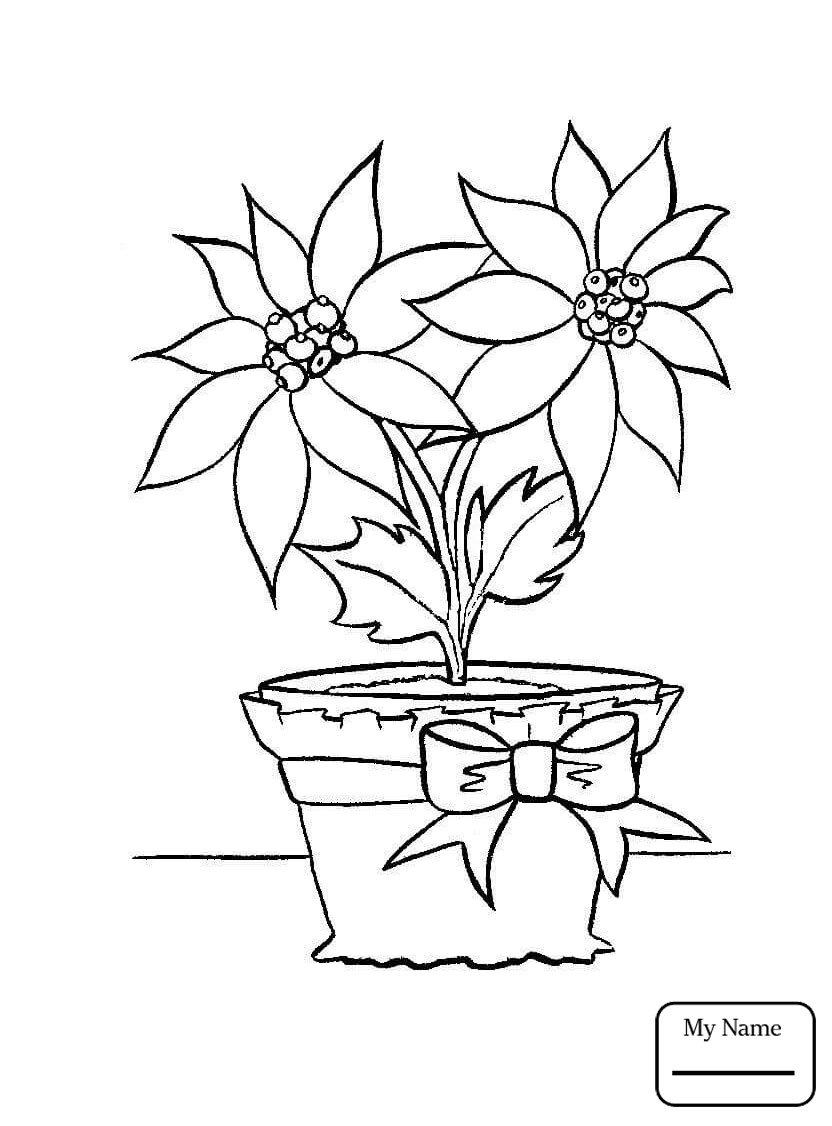 832x1126 Poinsettia Christmas Flower Bouquet With Greeting Card Flowers