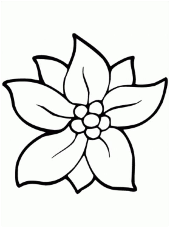 560x750 Christmas Flower Coloring Page Coloring Pages Flower