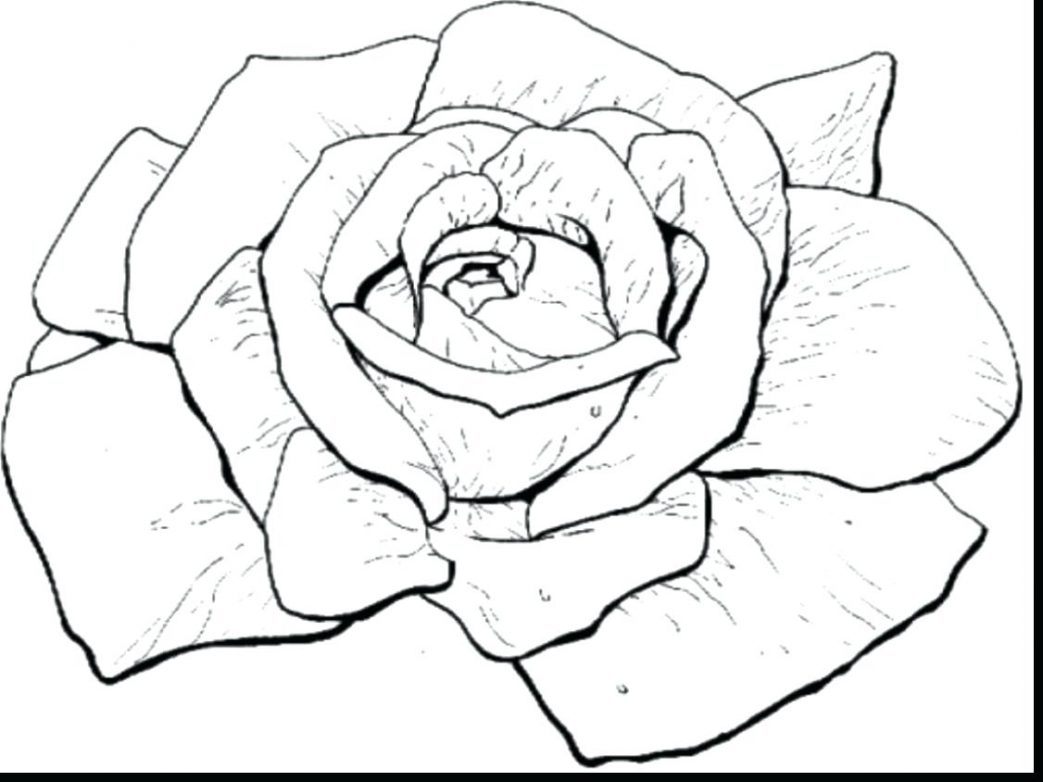 1043x782 Coloring Pages Christmas Presents Of Flowers Rose Is Beautiful