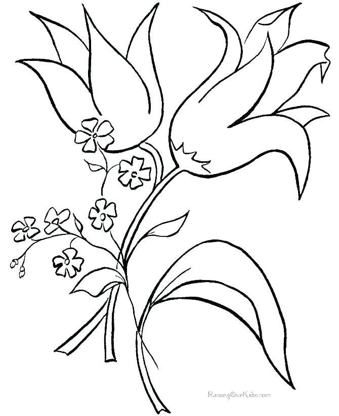 670x820 Coloring Pages With Flowers Flower Coloring Pages Flowers Coloring