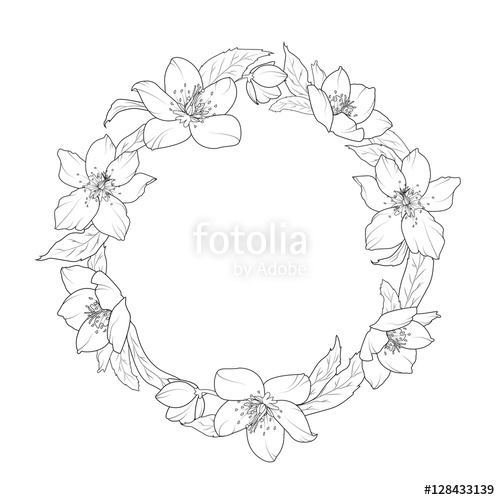 500x500 Hellebore Flowers Wreath Laurel Border Frame Element. Christmas