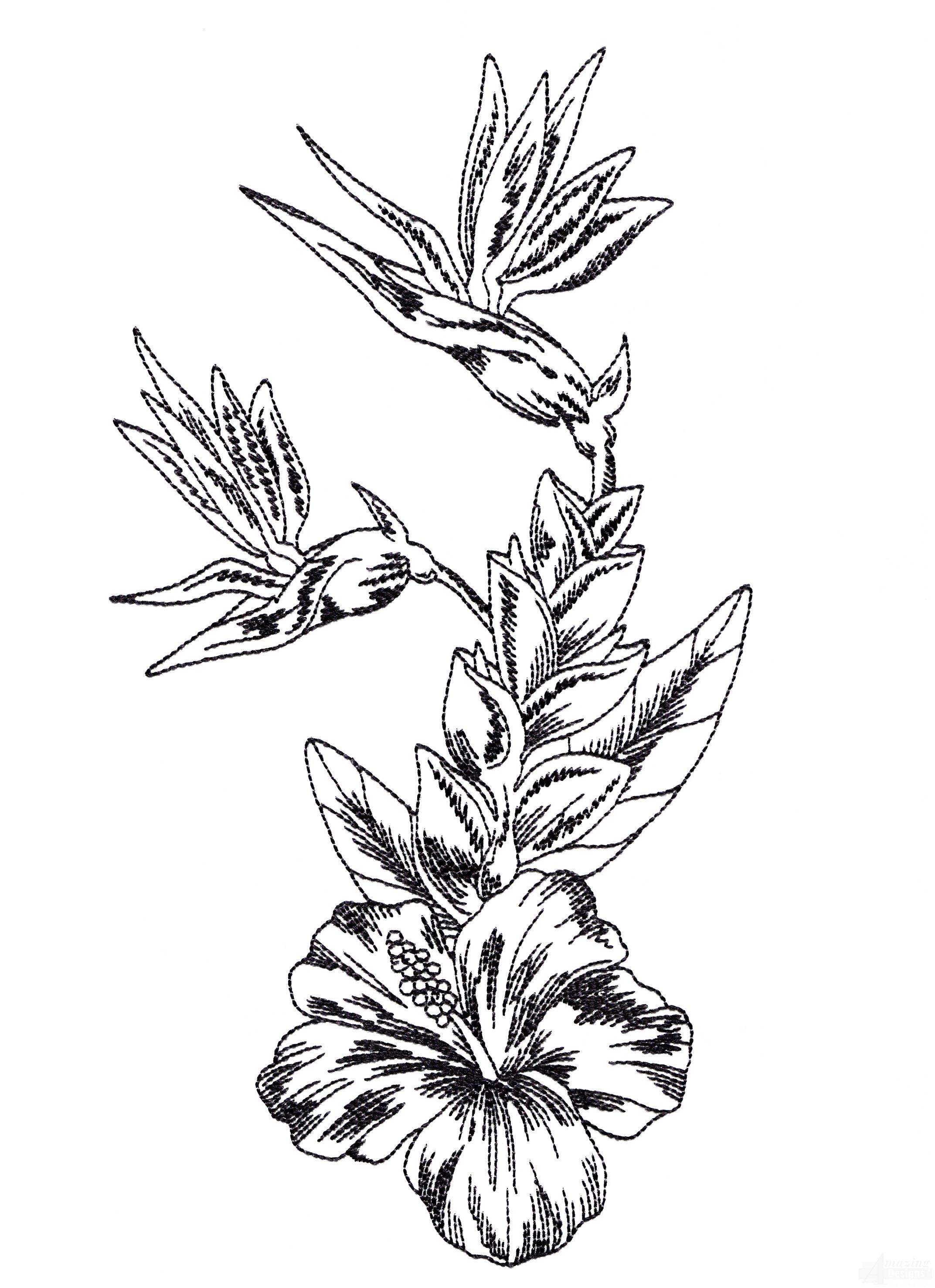 2145x2954 Tropical Flower Drawing Sketch Coloring Page View Larger Image