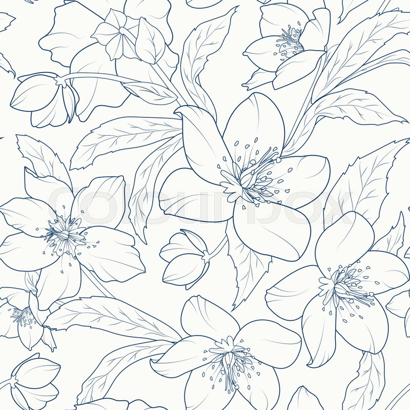 800x800 Blooming Hellebore Flowers Seamless Pattern. Christmas Rose
