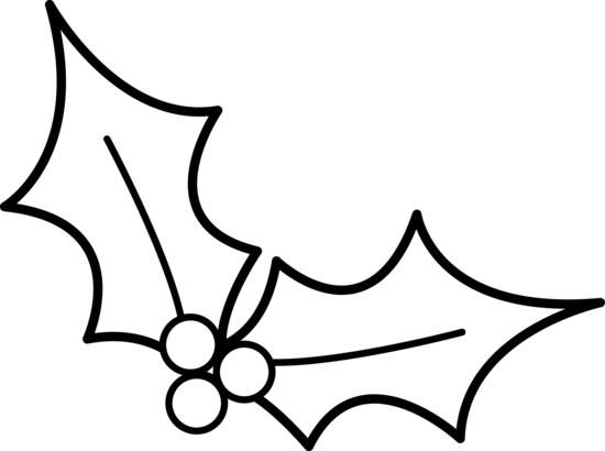 Christmas Holly Drawing