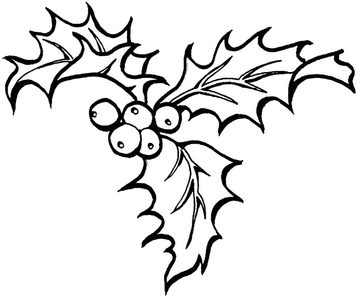 720x598 Christmas Holly And Berry Coloring Pages