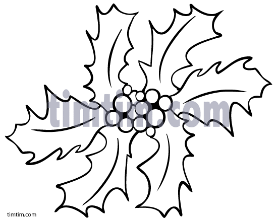 549x437 Free Drawing Of Christmas Holly 1bw From The Category Christmas