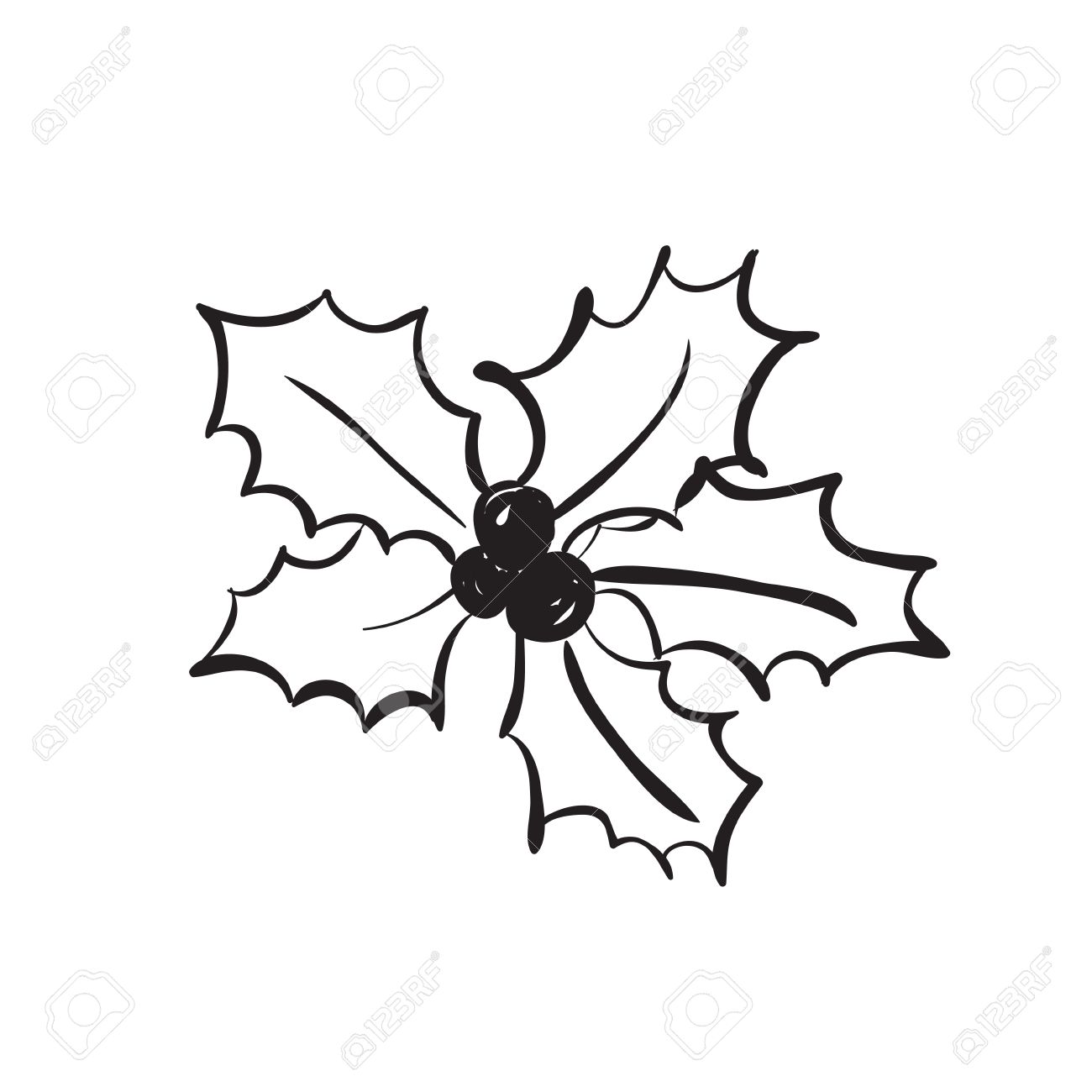 1300x1300 Vector Hand Drawn Christmas Holly. Black Sketch On White
