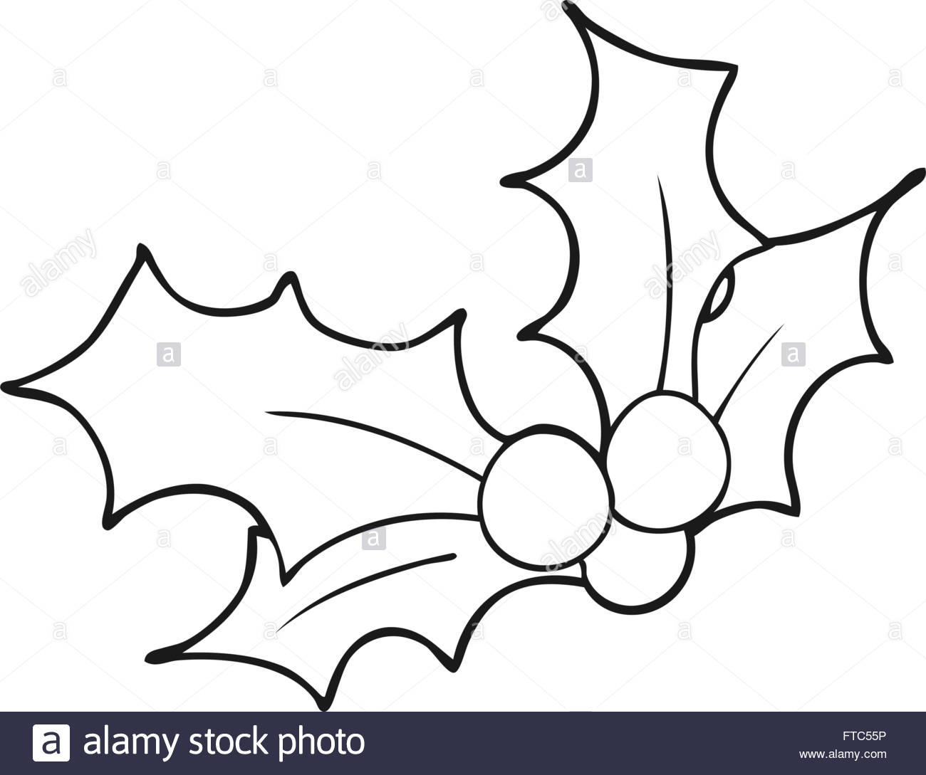 1300x1089 Freehand Drawn Black And White Cartoon Christmas Holly Stock