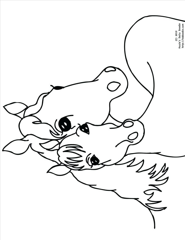728x943 Daily Coloring Pages Incredible Baby Horse Coloring Pages Great