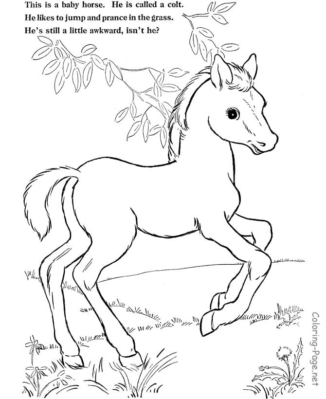670x820 Christmas Horse Drawings Fun For Christmas