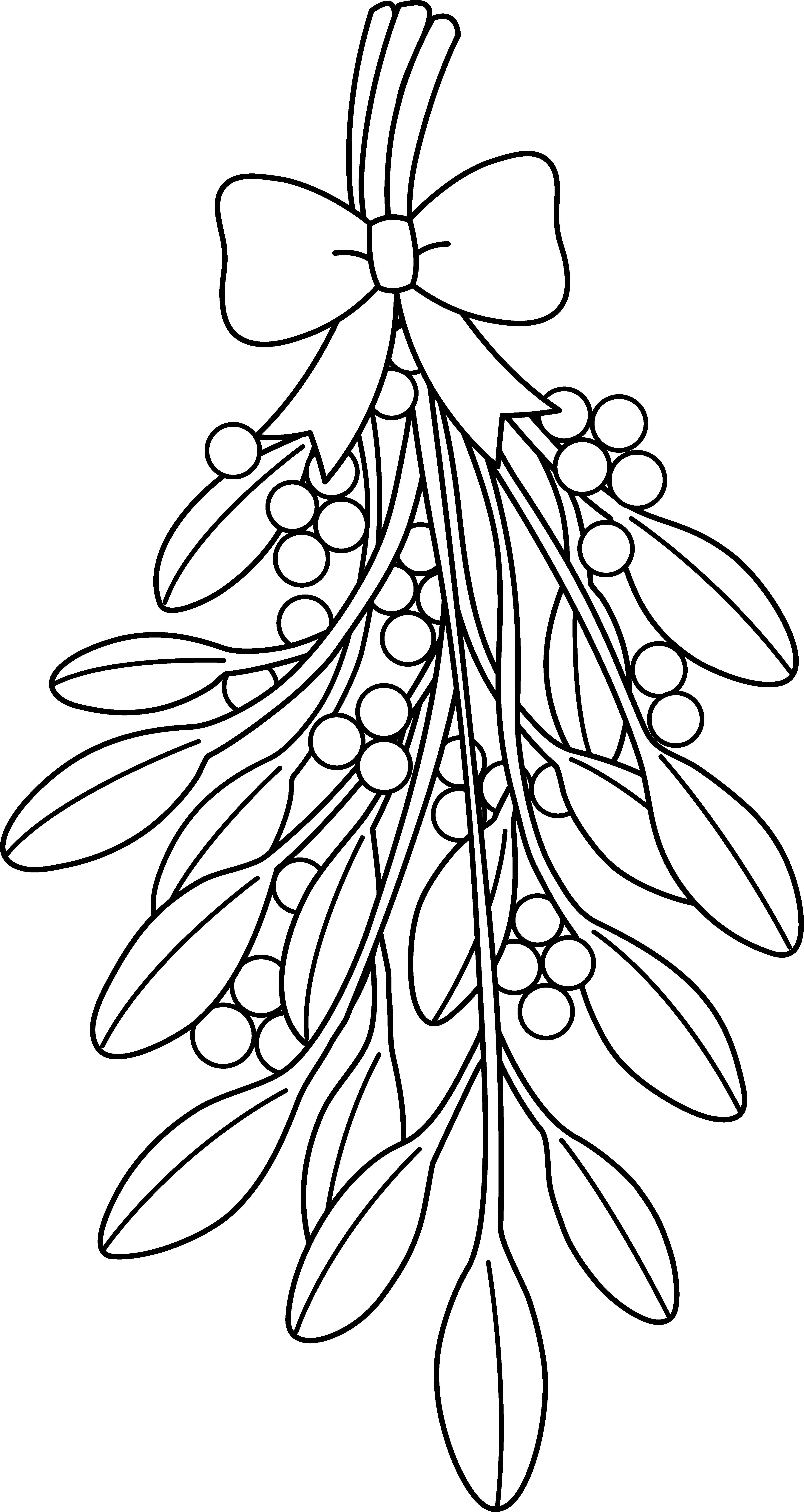 4303x8090 Christmas Mistletoe Line Art