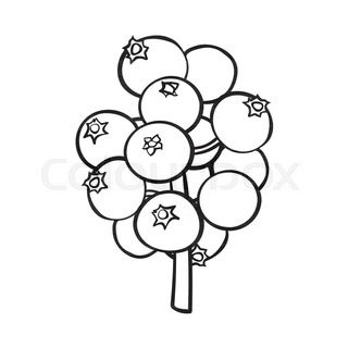 320x320 Hand Drawn Green Mistletoe Leaf, Christmas Decoration Element