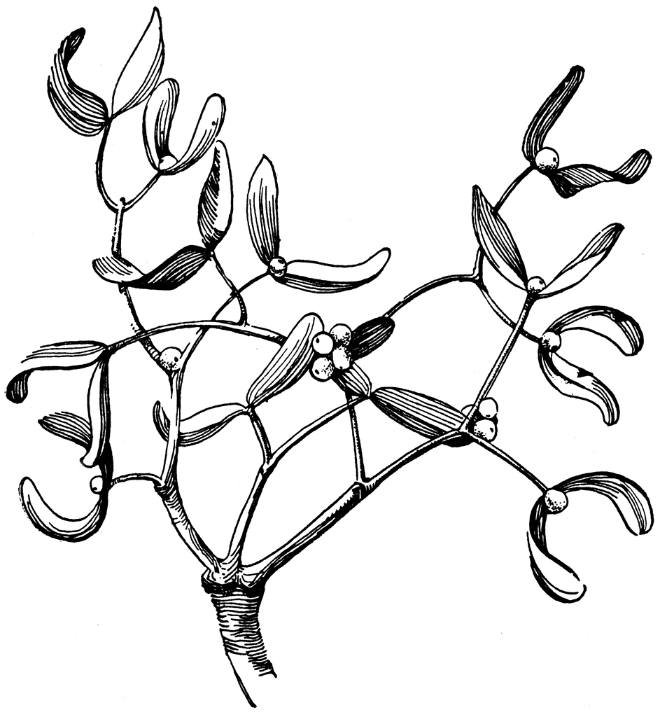 943x1024 Vintage Christmas Mistletoe Black And White Clip Art Christmas