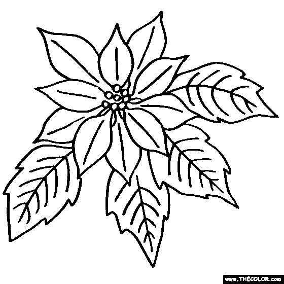560x560 Revealing Poinsettia Coloring Page Plant Winter Christmas