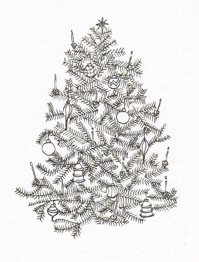 683x900 Old Fashion Christmas Tree Drawing By Deborah Wetschensky