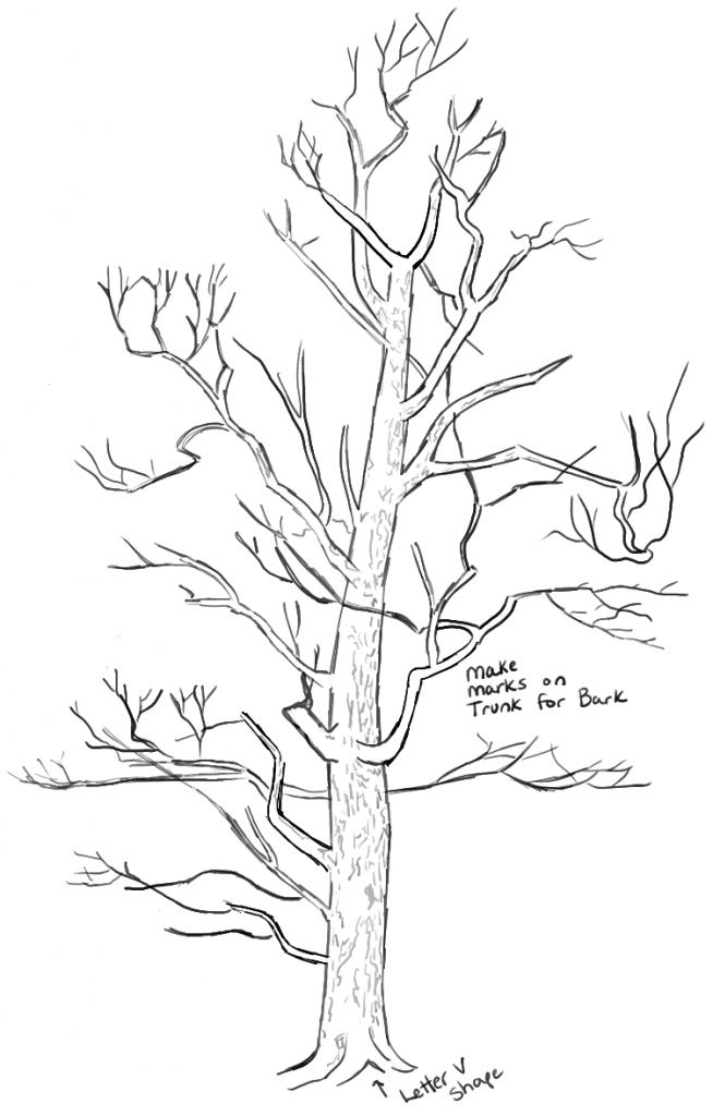 654x1024 How To Draw A Tree Step By Step How To Draw Trees Drawing