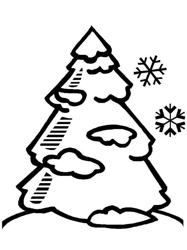600x800 Pine Tree Clipart Snow Drawing