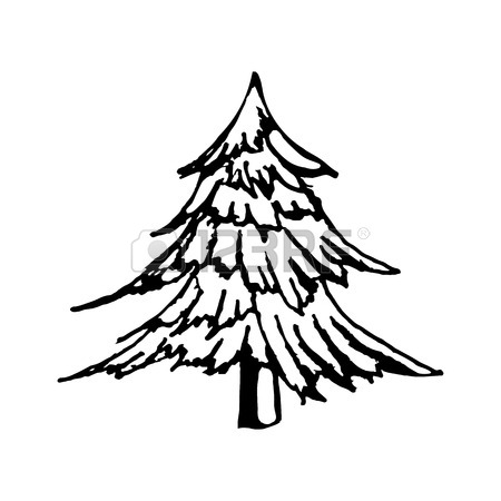 450x450 Pine Trees Christmas Trees Realistic Hand Drawn Vector Set