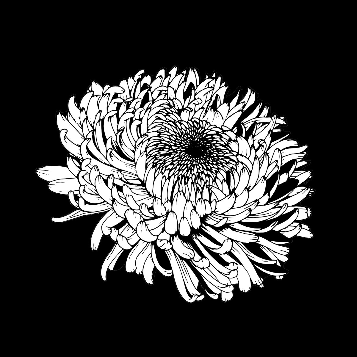 1200x1200 Artist Rachel Card On Twitter Playing Around With Old Drawings