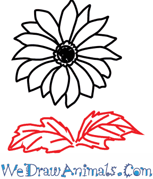 300x350 How To Draw A Chrysanthemum Flower