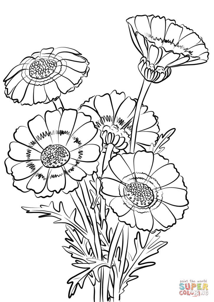 724x1024 Patterned Bird Sitting On Chrysanthemum Branch Stock Flower