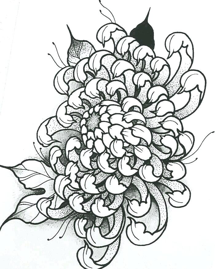 Chrysanthemum Flower Drawing at GetDrawings | Free download
