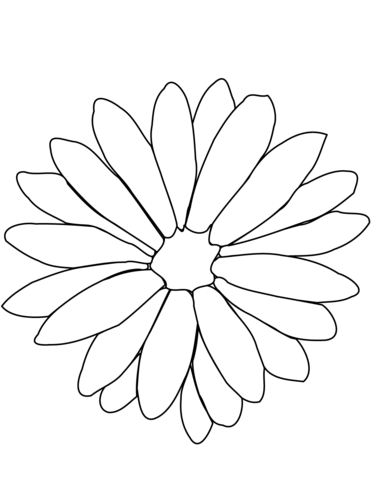 371x480 Chrysanthemum Coloring Page Free Printable Coloring Pages