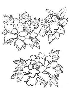 236x297 Image Result For Japanese Chrysanthemum Drawings Porcelain