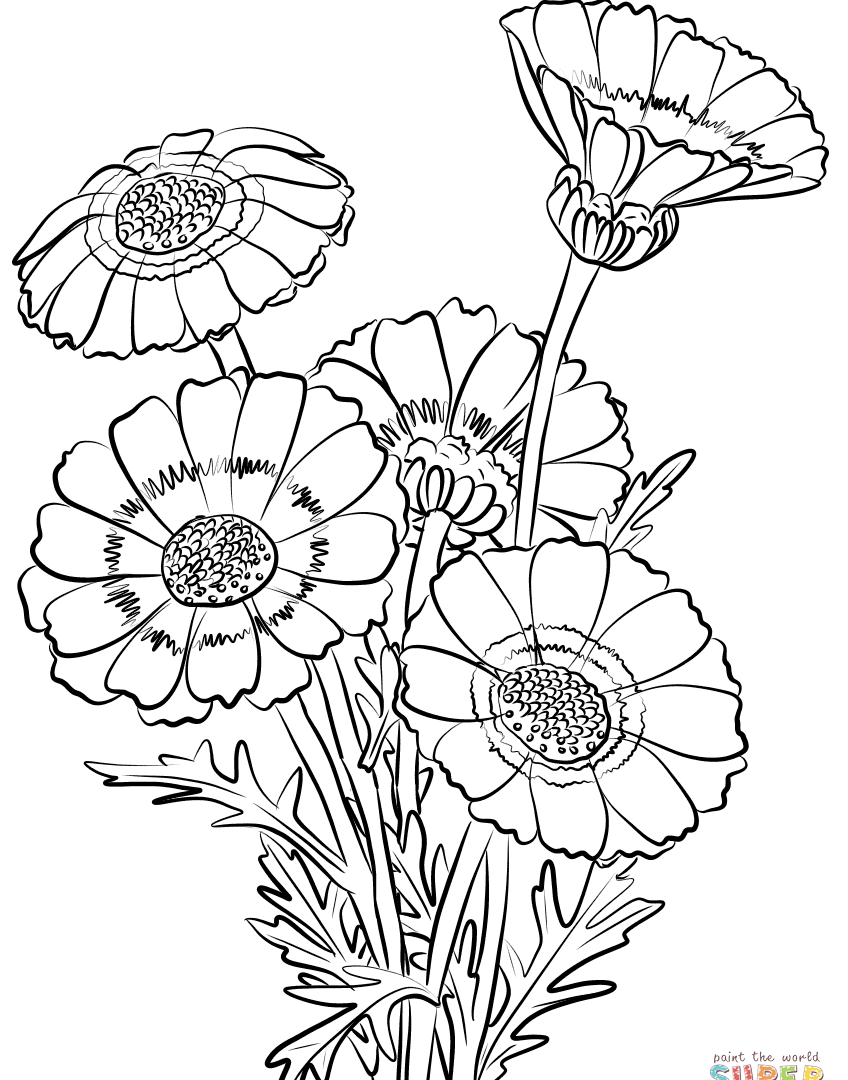 848x1080 Patterned Bird Sitting On Chrysanthemum Branch Stock Flower