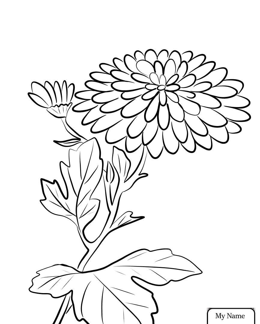 866x1080 Chrysanthemum Flower Coloring Pages Page Flowers Book By Kevin