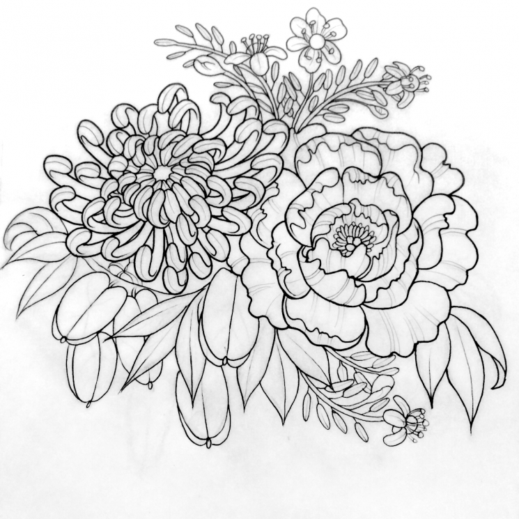 745x745 Chrysanthemum Flower Drawing