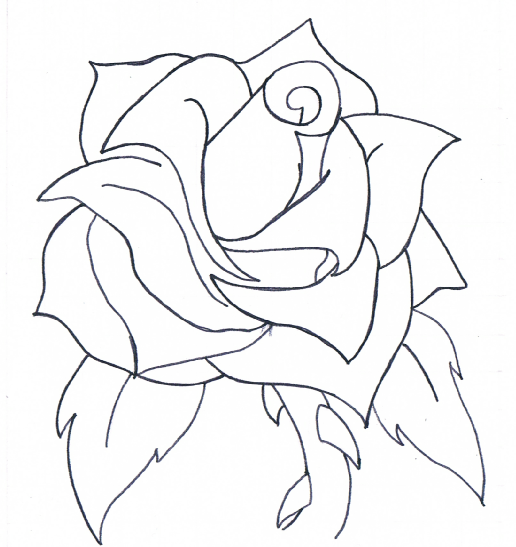 516x547 Line Drawing Of A Rose By Chucky 14567