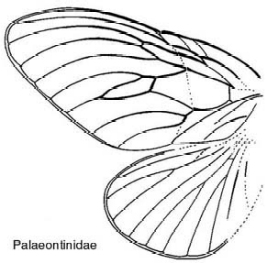 275x263 Archived Content