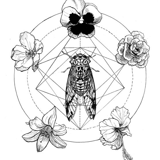 558x558 How To Draw Sacred Geometry