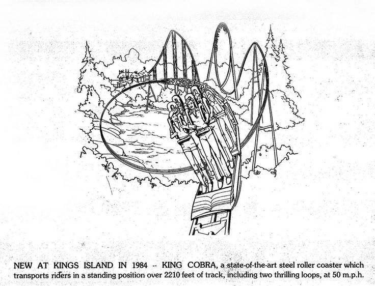 736x562 7 Best Kings Island!!!! Images On Kings Island