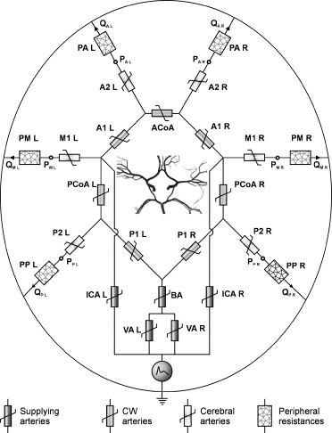 372x486 Investigations Of Flow And Pressure Distributions In Physical