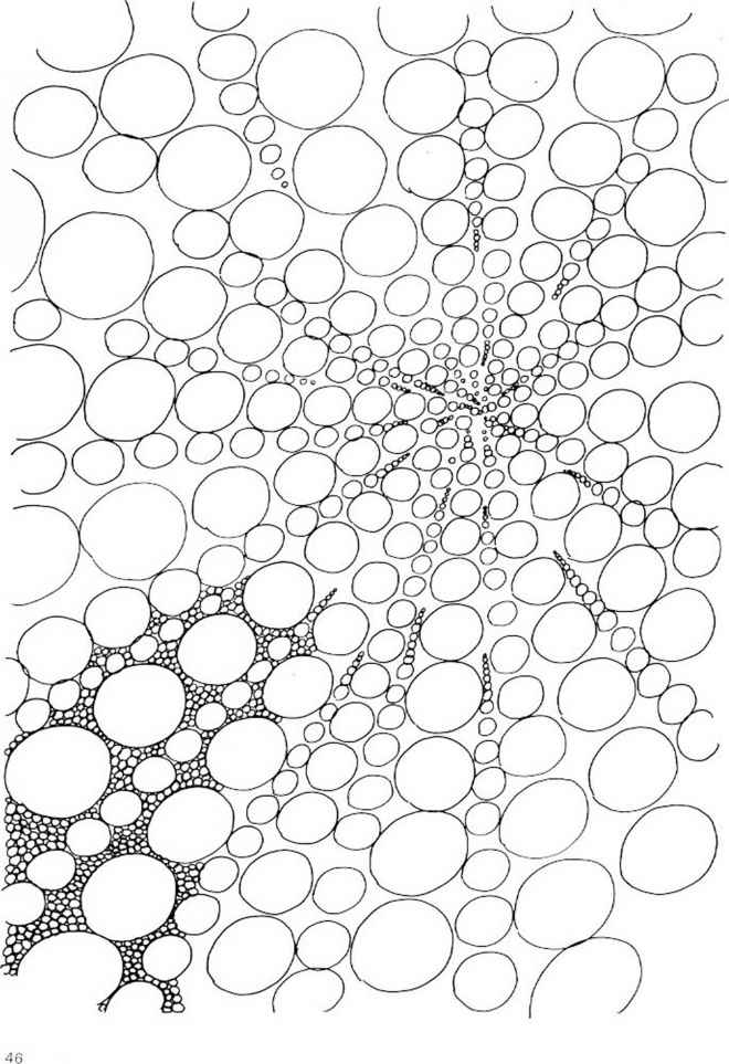 660x963 Freehand Drawing Exercises