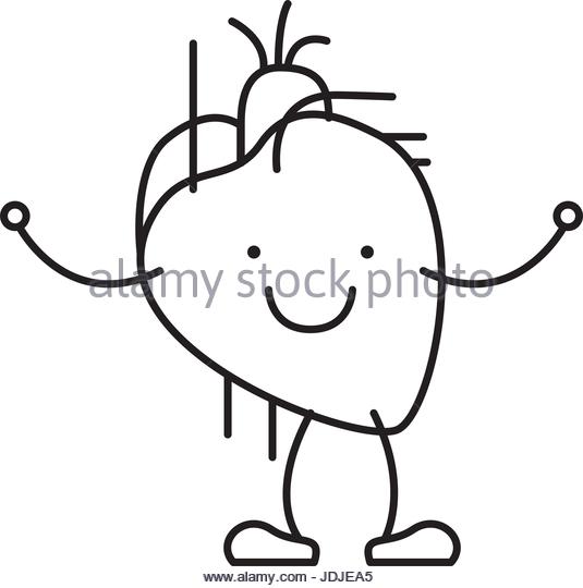 535x540 Muscle Heart Drawing Stock Photos Amp Muscle Heart Drawing Stock