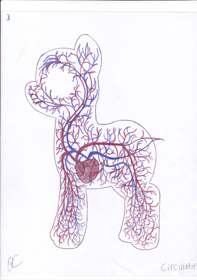 751x1063 My Little Pony