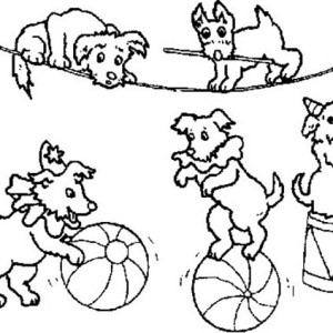 300x300 Drawing Circus Shows Coloring Page Drawing Circus Shows Coloring