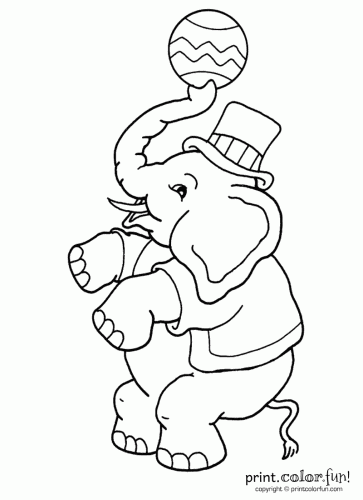 363x500 Circus Elephant Boy Coloring Page