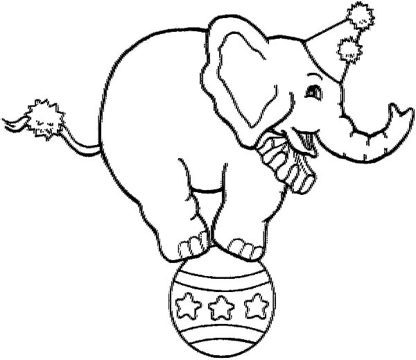 600x519 Picture Of Circus Elephant Coloring Pages Picture Of Circus