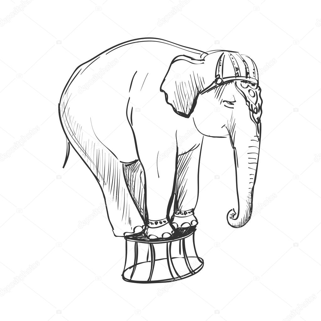 1024x1024 Doodle Circus Elephant Stock Vector Netkoff